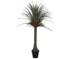 Dirbtinis augalas Juka, 160 cm