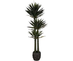 Dirbtinis augalas Juka, 170 cm