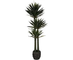Dirbtinis augalas Juka, 170 cm