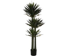 Dirbtinis augalas Juka, 170 cm