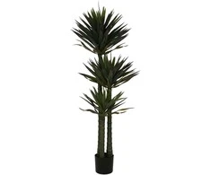 Dirbtinis augalas Juka, 170 cm