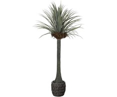 Dirbtinis augalas Juka, 180 cm