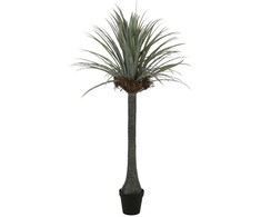 Dirbtinis augalas Juka, 180 cm