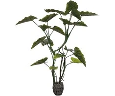 Dirbtinis augalas Kolokazija, 160 cm