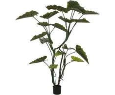 Dirbtinis augalas Kolokazija, 160 cm