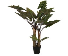 Dirbtinis augalas Kolokazija, 170 cm