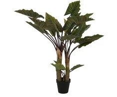 Dirbtinis augalas Kolokazija, 170 cm