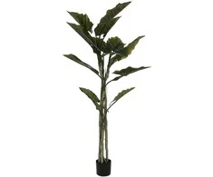 Dirbtinis augalas Kolokazija, 190 cm