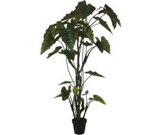 Dirbtinis augalas Kolokazija, 220 cm