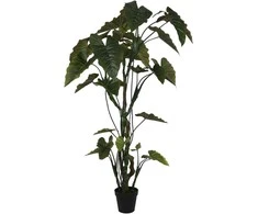 Dirbtinis augalas Kolokazija, 220 cm