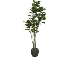 Dirbtinis augalas Laimės medis, 160 cm