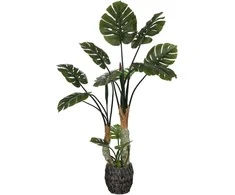 Dirbtinis augalas Monstera, 160 cm