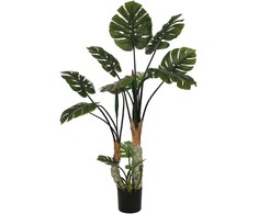 Dirbtinis augalas Monstera, 160 cm