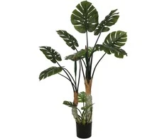Dirbtinis augalas Monstera, 160 cm