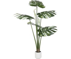 Dirbtinis augalas Monstera, 170 cm