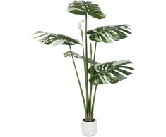 Dirbtinis augalas Monstera, 170 cm