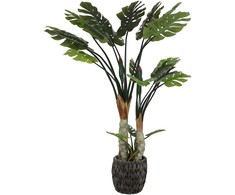Dirbtinis augalas Monstera, 170 cm