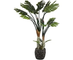 Dirbtinis augalas Monstera, 170 cm