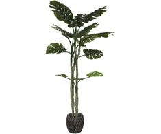 Dirbtinis augalas Monstera, 180 cm