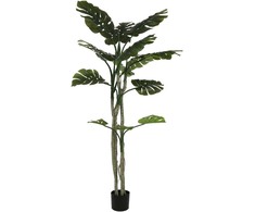 Dirbtinis augalas Monstera, 180 cm