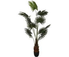 Dirbtinis augalas Palmė, 180 cm