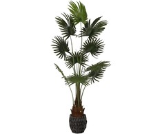 Dirbtinis augalas Palmė, 180 cm