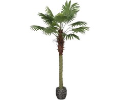 Dirbtinis augalas Palmė, 200 cm