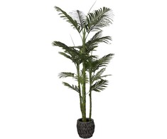 Dirbtinis augalas Palmė, 200 cm