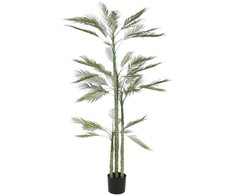 Dirbtinis augalas Palmė, 200 cm