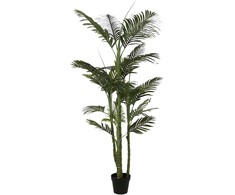 Dirbtinis augalas Palmė, 200 cm