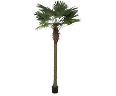 Dirbtinis augalas Palmė, 250 cm