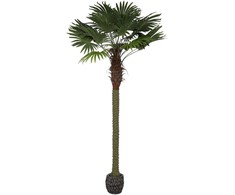 Dirbtinis augalas Palmė, 250 cm