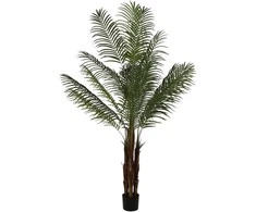 Dirbtinis augalas Palmė Hovėja, 200 cm