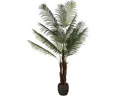 Dirbtinis augalas Palmė Hovėja, 200 cm