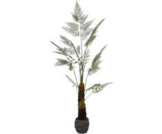 Dirbtinis augalas Papartis, 220 cm