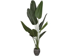 Dirbtinis augalas Strelicija, 160 cm