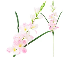 Dirbtinis dekoratyvinis kardelis, rožinis/baltas, 80 cm