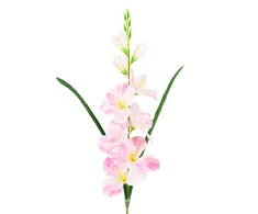Dirbtinis dekoratyvinis kardelis, rožinis/baltas, 80 cm