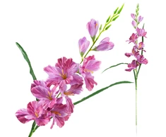 Dirbtinis dekoratyvinis kardelis, violetinis, 80 cm