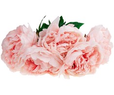 Dirbtinių bijūnų puokštė, 5 žiedai