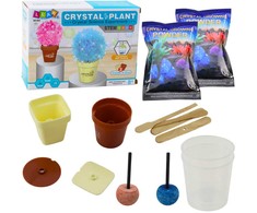 Edukacinis kristalų auginimo rinkinys "Crystal Plant"