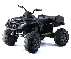 Elektrinis keturratis vaikams Quad BDM 0909 24V, juodas