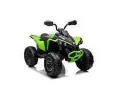 Elektrinis keturratis vaikams Quad CAN-AM Renegate, žalias