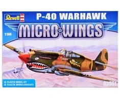 Lėktuvo modelis Curtiss P-40 Warhawk