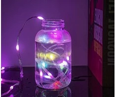 Lempučių girlianda SMART 100 LED RGB USB su pultu, 10+0.6m