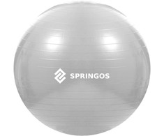 Mankštos kamuolys su pompa Springos FB0008 75cm