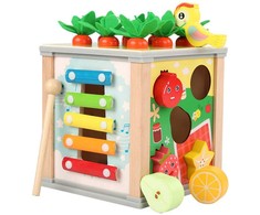 Medinis edukacinis kubas 5in1