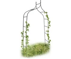 Metalinė arka vijokliniams augalams Garden Line, 150x37x240 cm