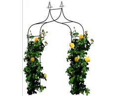 Metalinė arka vijokliniams augalams Garden Line, 150x37x240 cm