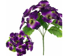 Našlaičių puokštė, 5 vnt., violetinė